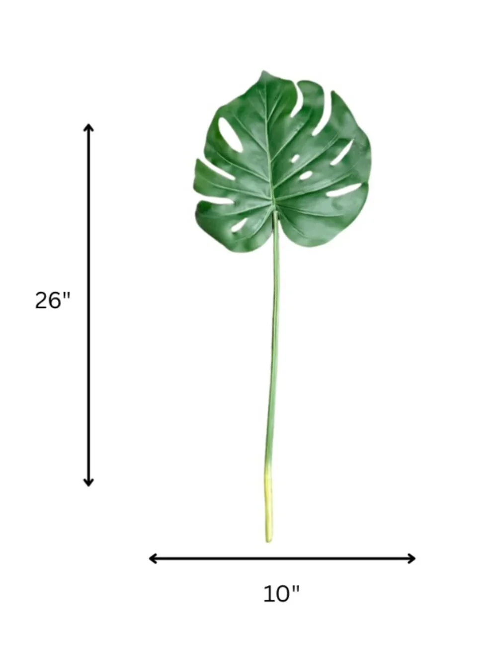 Set/2 Monstera Leaf Stems